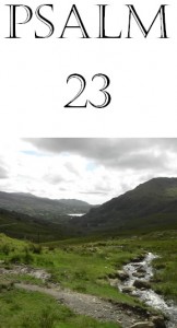 PSALM 23 - TN