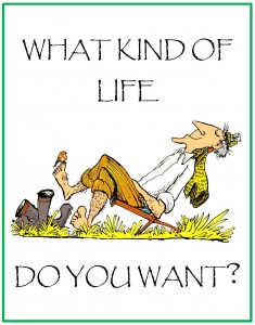 WHAT KIND OF LIFE DO YOU WANT