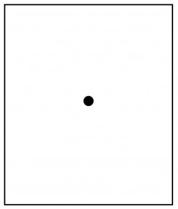 A BLACK DOT