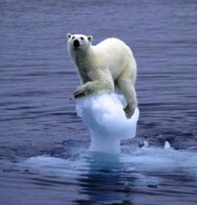POLAR BEAR SITTING ON MELTING ICE